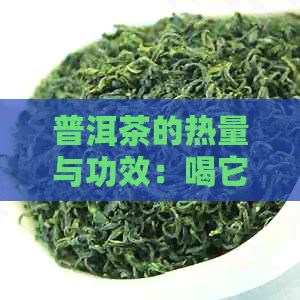 普洱茶的熱量與功效：喝它會(huì)增加體重嗎？