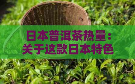 普洱茶熱量：關(guān)于這款特色茶葉的熱量信息。