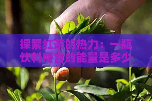 探索红茶的热力：一瓶饮料所含的能量是多少千？