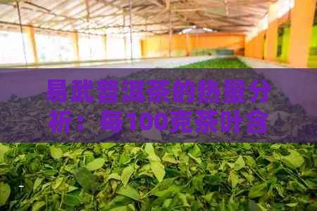 易武普洱茶的熱量分析：每100克茶葉含有多少卡路里？