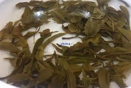 普洱茶的热量详细解读：每100克茶叶含有多少卡路里？