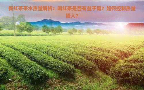 新红茶茶水热量解析：喝红茶是否有益于健？如何控制热量摄入？