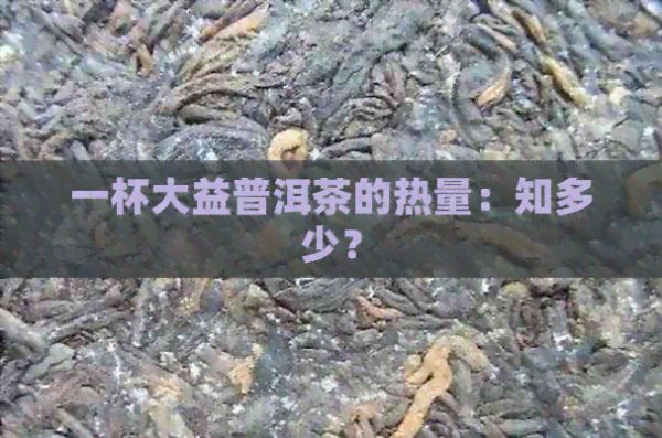 一杯大益普洱茶的热量：知多少？