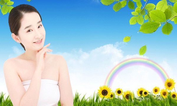 观音王的功效与营养成分大全