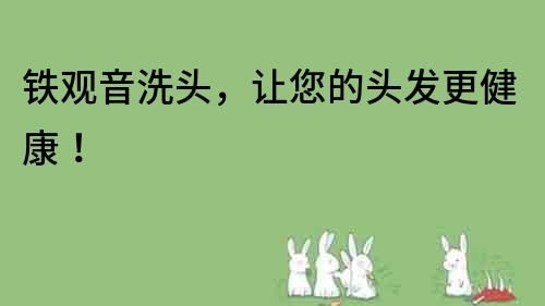 鐵觀音洗頭，讓您的頭發(fā)更健康！