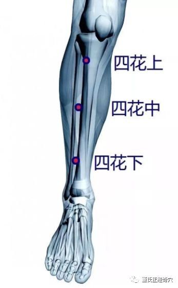 https://img.miyanlife.com/mnt/timg/181114/113TG305-3.jpg