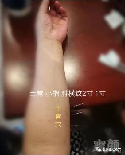 https://img.miyanlife.com/mnt/timg/181114/113TG021-2.jpg