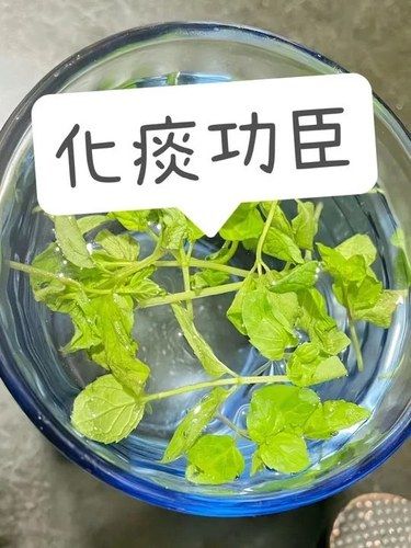 千萬別一邊排痰，一邊造痰