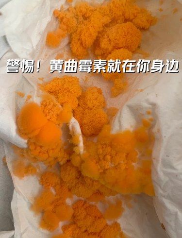 常見的劇毒致癌物：黃曲霉毒素