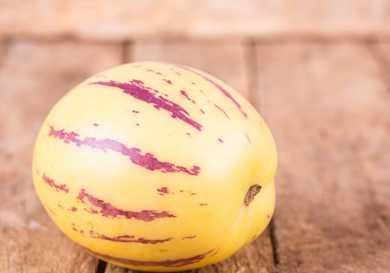 人参果中间的囊能吃吗?