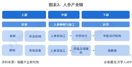 圖表2：人參產(chǎn)業(yè)鏈