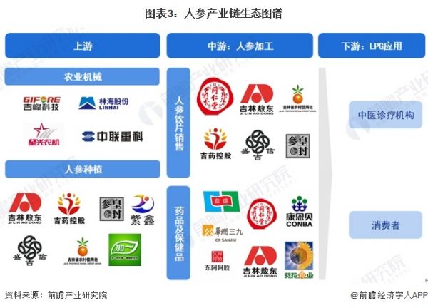 圖表3：人參產(chǎn)業(yè)鏈生態(tài)圖譜