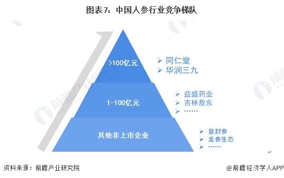 圖表7：中國(guó)人參行業(yè)競(jìng)爭(zhēng)梯隊(duì)