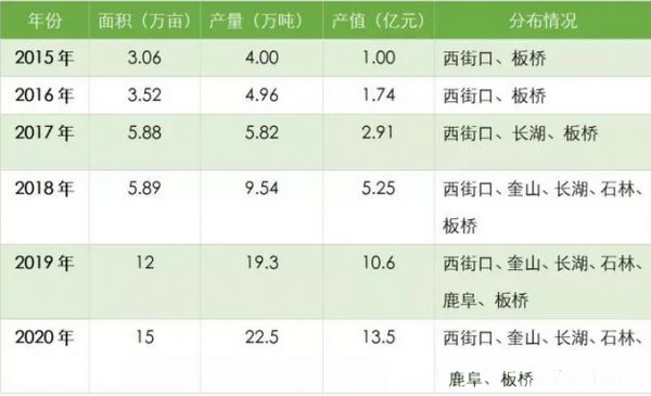 2023年人參果市場規(guī)模分析：石林人參果市場總產(chǎn)值達到13.5億元