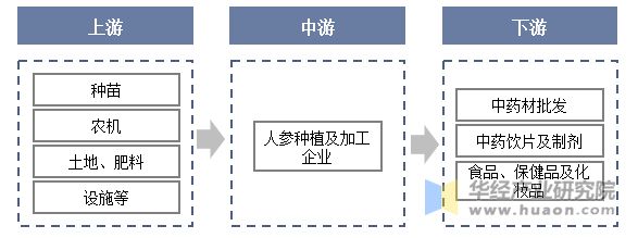 人參行業(yè)產(chǎn)業(yè)鏈結(jié)構(gòu)示意圖