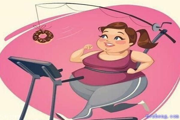 左旋肉堿是什么 減肥小幫手