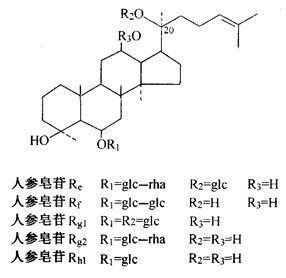 结构式