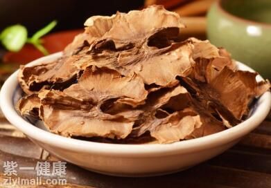 分心木泡酒喝的功效 不可不知的四大藥效