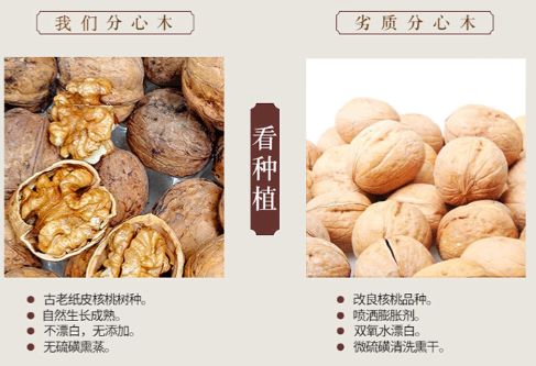 好壞分心木的對(duì)比