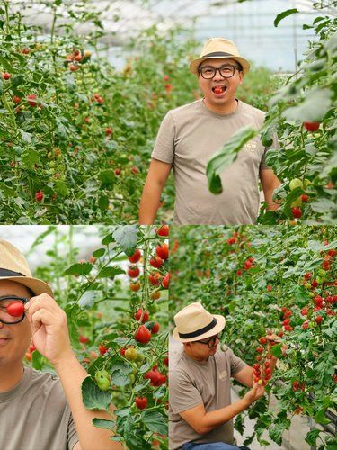 夏天的記憶