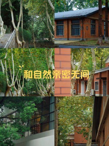 又在南京發(fā)現(xiàn)了小眾復(fù)古園區(qū)，95%人不知道！