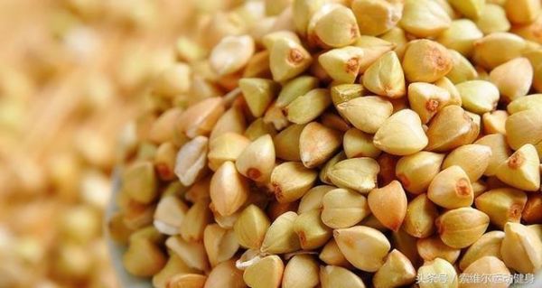 最減脂的9種碳水化合物：不用擔(dān)心吃胖了
