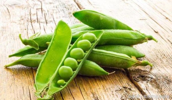 最減脂的9種碳水化合物：不用擔(dān)心吃胖了