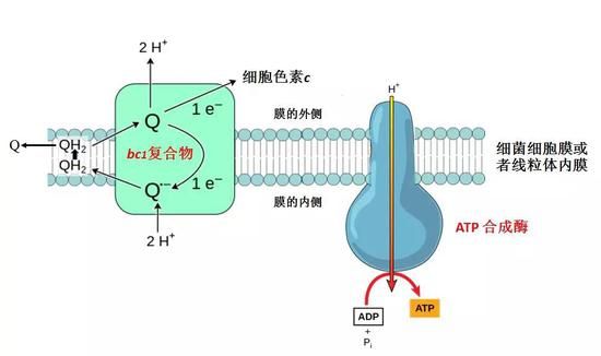 （图片来源：作者提供 ）