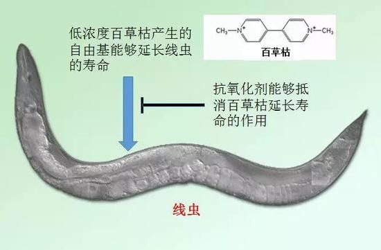 （图片来源：作者提供）