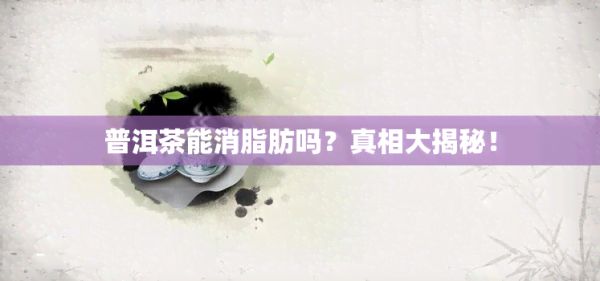 普洱茶能消脂肪吗？真相大揭秘！
