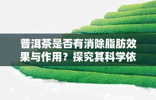 普洱茶是不是有消除脂肪效果與作用？探究其科學(xué)依據(jù)與實證研究