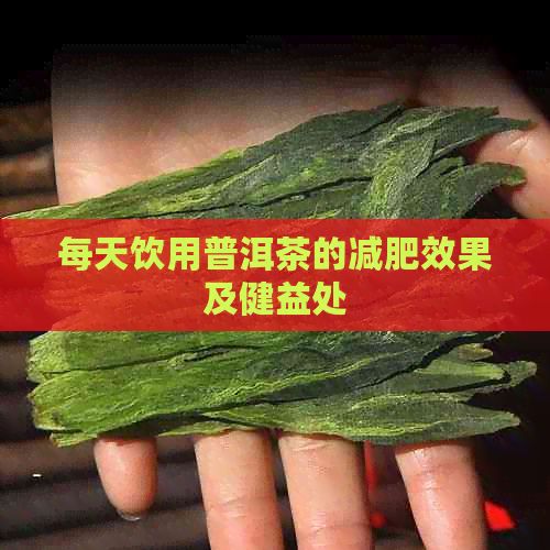 每天饮用普洱茶的减肥效果及健益处