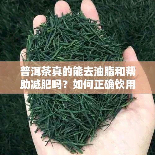 普洱茶真的能去油脂和帮助减肥吗？如何正确饮用以达到效果？