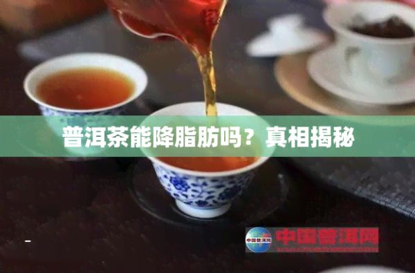 普洱茶能降脂肪吗？真相揭秘