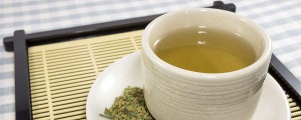 晚上喝饮料绿茶会胖吗 喝绿茶会胖吗 减肥注意事项