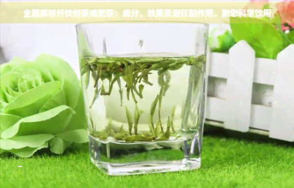 全面解析纤饮悦茶减肥茶：成分、效果及潜在副作用，助您科学饮用