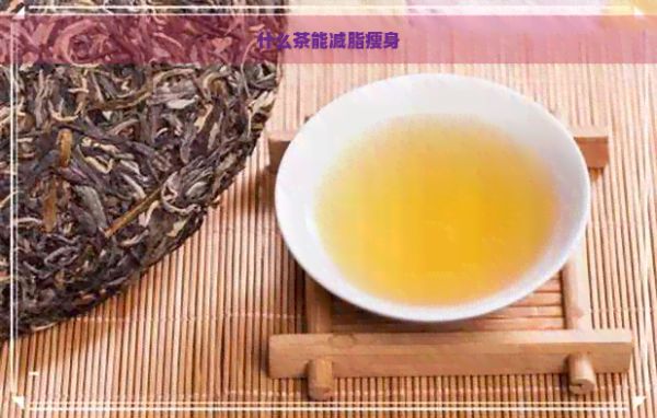 什么茶能減脂瘦身