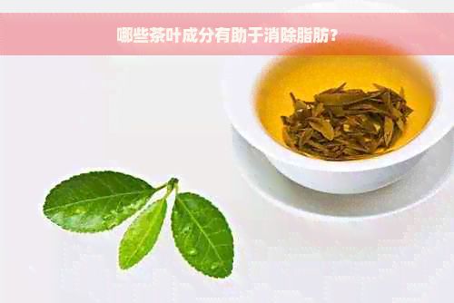哪些茶葉成分有助于消除脂肪？