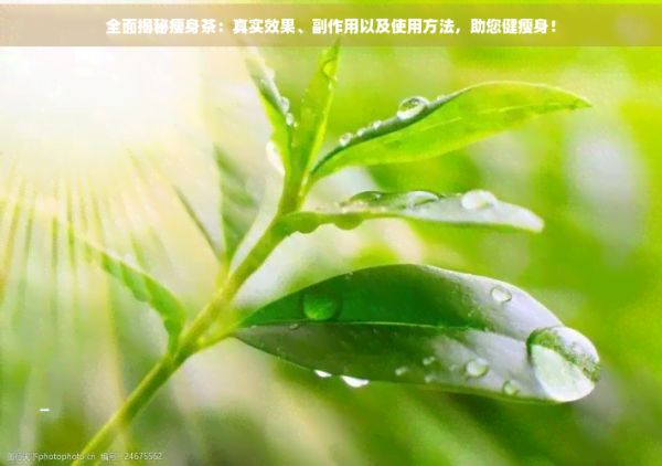 全面揭秘瘦身茶：真實效果、副作用以及使用方法，助您健瘦身！