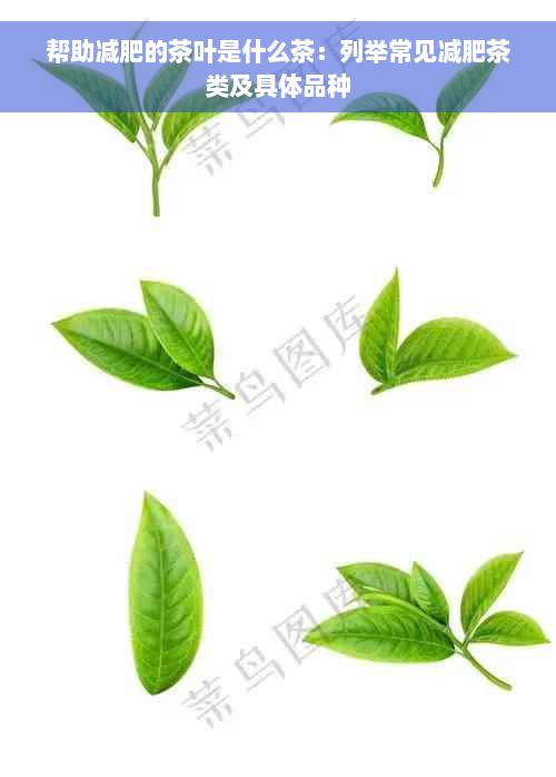 幫助減肥的茶葉是什么茶：列舉常見減肥茶類及具體品種