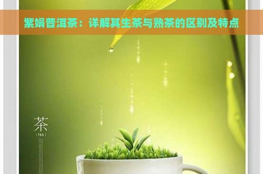 紫娟普洱茶：詳解其生茶與熟茶的區(qū)別及特點(diǎn)