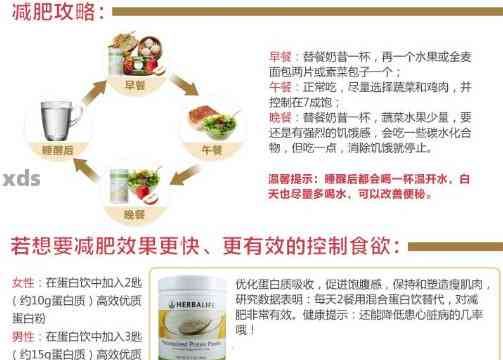 宝健s即溶茶：科学解析其减肥效果及相关因素分析