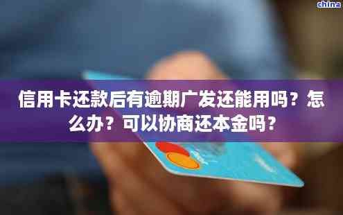 深入了解：袋泡茶与茶叶的本质区别是什么？