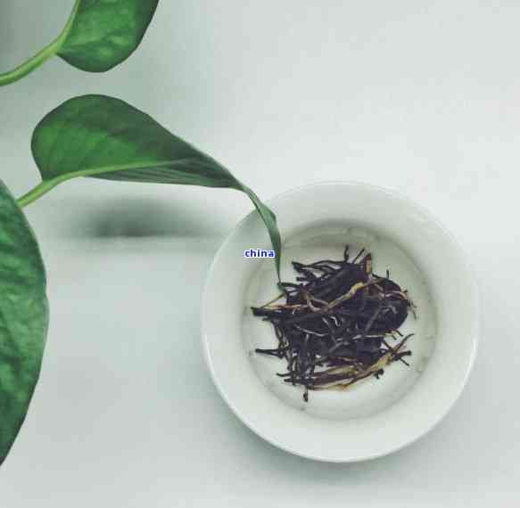 深入了解：袋泡茶与茶叶的本质区别是什么？