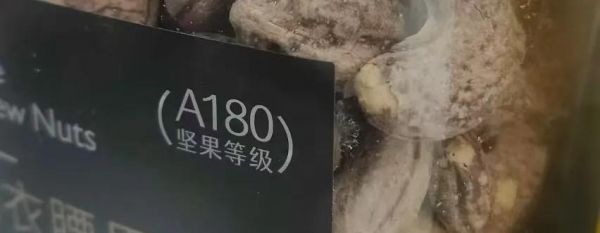 春雨醫(yī)生