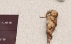 网友喊话巢湖博物馆：你家的文物发霉啦