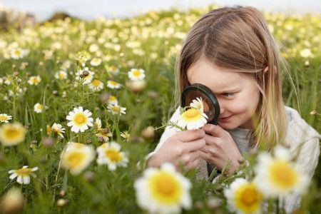 花茶调节女性内分泌