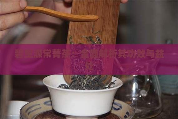 碧生源常菁茶：全面解析其功效与益处