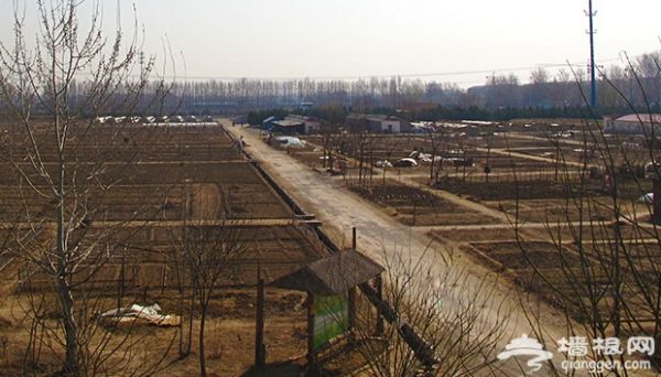 帶孩子去哪玩 最健康的14個(gè)京郊有機(jī)農(nóng)場(chǎng)