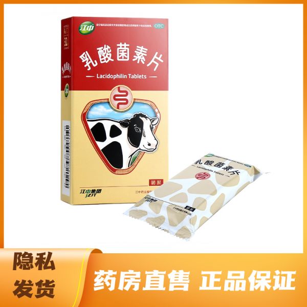 江中 乳酸菌素片 0.4g×8片×4板